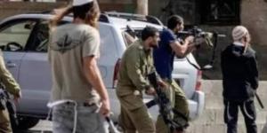 اعتقال 17 فلسطينيًا بالضفة الغربية.. والمستوطنون يسرقون محاصيل الزيتون