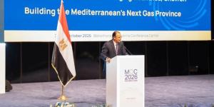شركات طاقة عالمية تؤكد دور مصر المحوري في تطوير غاز شرق المتوسط