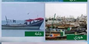 التحالف يحذر مليشيا الحوثي من استخدام قوارب الصيد لتهريب الأسلحة والصواريخ