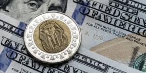 الثلاثاء 20 أكتوبر 2026.. 60 قرشا إجمالي ارتفاع الدولار بنهاية التعاملات يتجاوز الـ54.50 جنيه