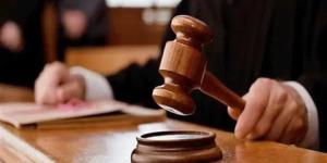 بعد تعديل الاتهام من قتل عمد إلى ضرب أفضى إلى موت.. المشدد 7 سنوات لمريض نفسي قتل والدته في دمنهور