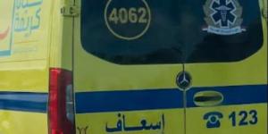 إصابة طفلين بتسمم إثر ادعاء تناولهما مادة كاوية في جرجا بسوهاج :اليوم السابع
