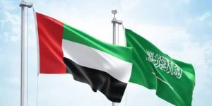 السعودية والإمارات تناقشان رفع مستوى التنسيق لخفض التصعيد بالمنطقة