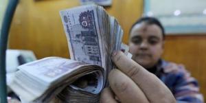 41% من الأسر المصرية تأثر إنفاقها الشهري بالتجارة الإلكترونية