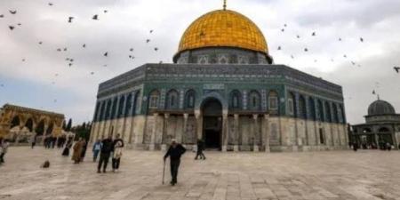 فلسطين تطالب مجلس الأمن بإنهاء الاحتلال الإسرائيلى وتوحيد غزة والضفة تحت سلطة واحدة