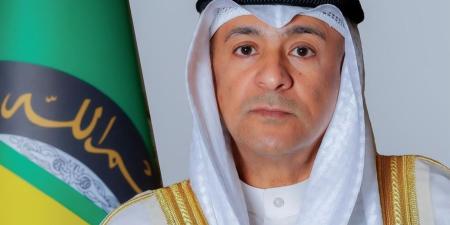 البديوي: دول مجلس التعاون تؤيد بالإجماع ترشيح لانا نسيبة لمنصب الأمين العام للأمم المتحدة