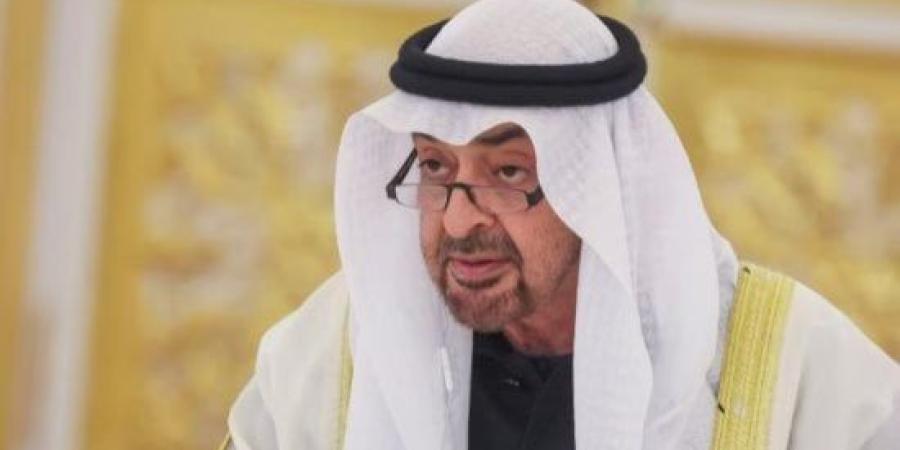رئيسا الإمارات وفرنسا يبحثان علاقات التعاون والتطورات الإقليمية :اليوم السابع