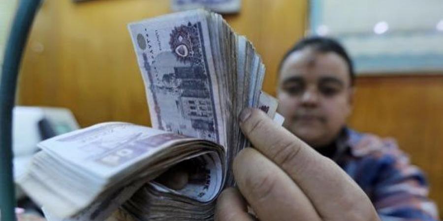 41% من الأسر المصرية تأثر إنفاقها الشهري بالتجارة الإلكترونية