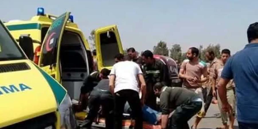 مصرع 13 في تصادم أتوبيس وتريلا بالصحراوي الغربي بأسيوط