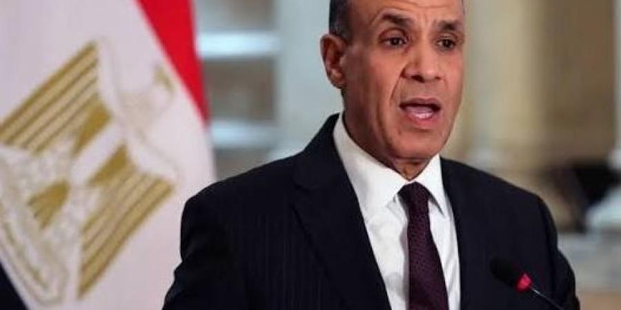 وزير الخارجية: مصر لن تسمح بتقسيم السودان أو سقوط مؤسساته والجهود مستمرة للتوصل إلى حل سياسي