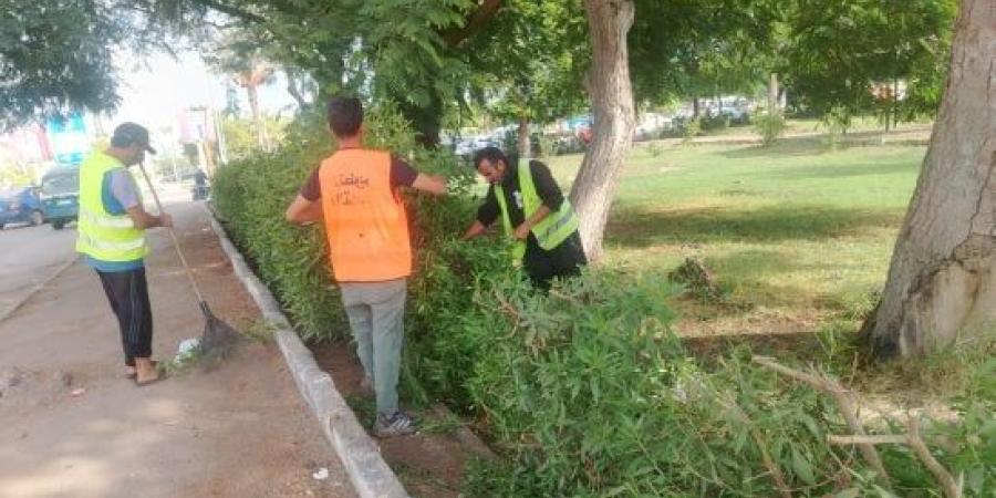جهاز التطوير والتجميل بالإسماعيلية يواصل صيانة الميادين والمساحات الخضراء