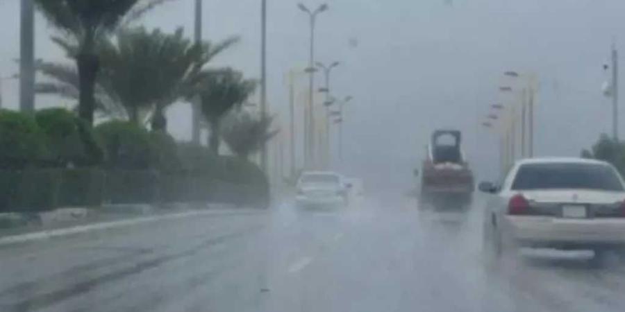 الأرصاد: طقس خريفي مائل للحرارة غدًا مع أمطار رعدية على سيناء وجنوب الصحراء